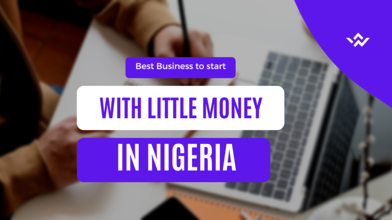 Best Business to start with little money in Nigeria