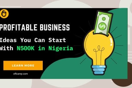 Entrepreneurs in Nigeria embarking on profitable ventures with a startup capital of N500K.