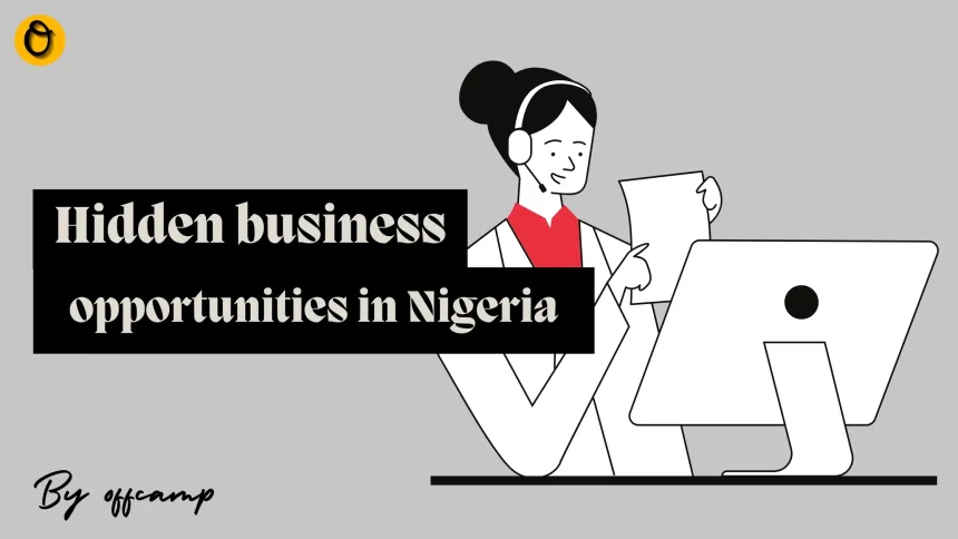 business opportunities in Nigeria