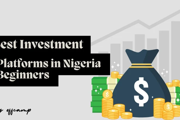 Best Investment Platforms in Nigeria Beginners