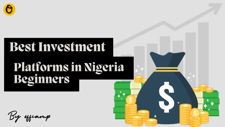 Best Investment Platforms in Nigeria Beginners
