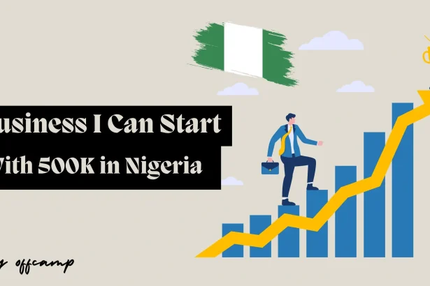 business i can start with 500k in Nigeria