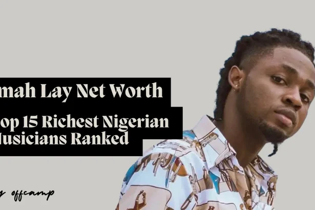 Omah Lay performing on stage during his 2025 concert tour that contributed $800K to his $3.2 million net worth