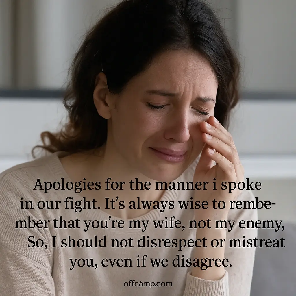 Words of Regret for Arguments and Communication Issues