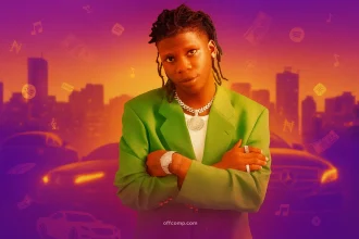 Seyi Vibez net worth visualization showing the Nigerian street pop artist's income sources and wealth accumulation strategy